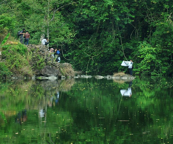 Situ Cipanten Danau Alami di Hutan Majalengka