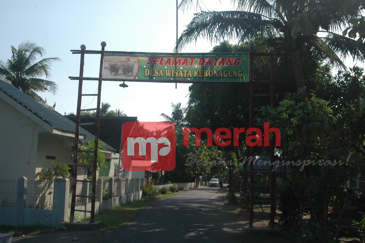 Jalan-Jalan ke Desa Wisata Kebon Agung, Yuk 