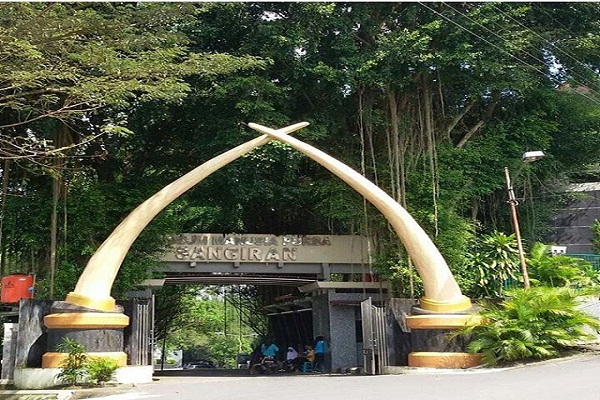 Menengok Museum Manusia Purba Sangiran di Sragen