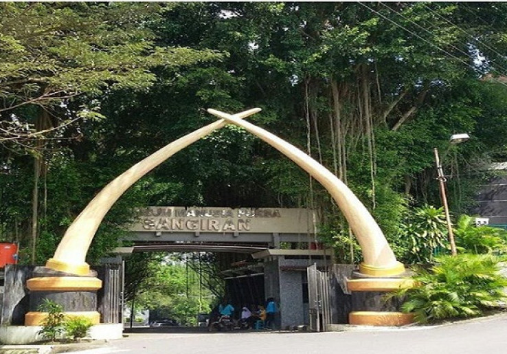 Menengok Museum Manusia Purba Sangiran di Sragen 