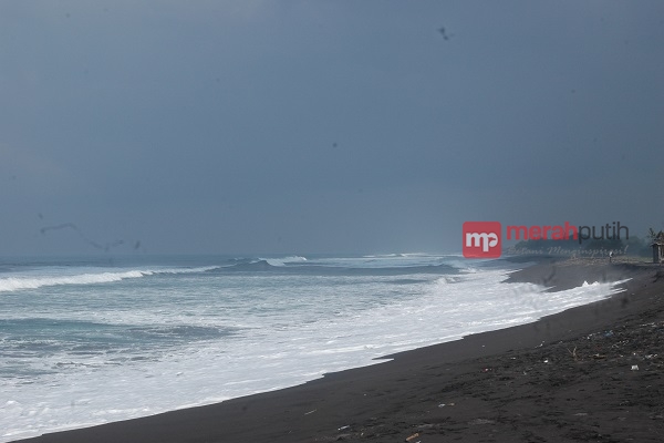 Berwisata ke Penangkaran Penyu Pantai Trisik