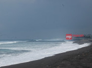 Berwisata ke Penangkaran Penyu Pantai Trisik