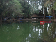 Telaga Remis Kuningan, Objek Wisata Air di Tengah Hutan Pinus