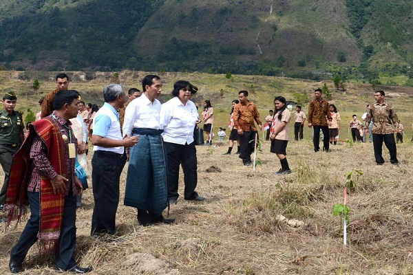 Danau Toba Akan Dipagari Sejuta Pohon