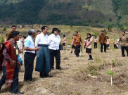 Danau Toba Akan Dipagari Sejuta Pohon