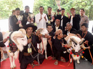 Presiden Jokowi dan Domba Garut