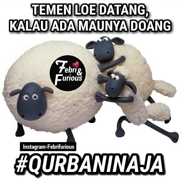 Meme #QurbaninAja Ini Kocak Bikin Ngakak