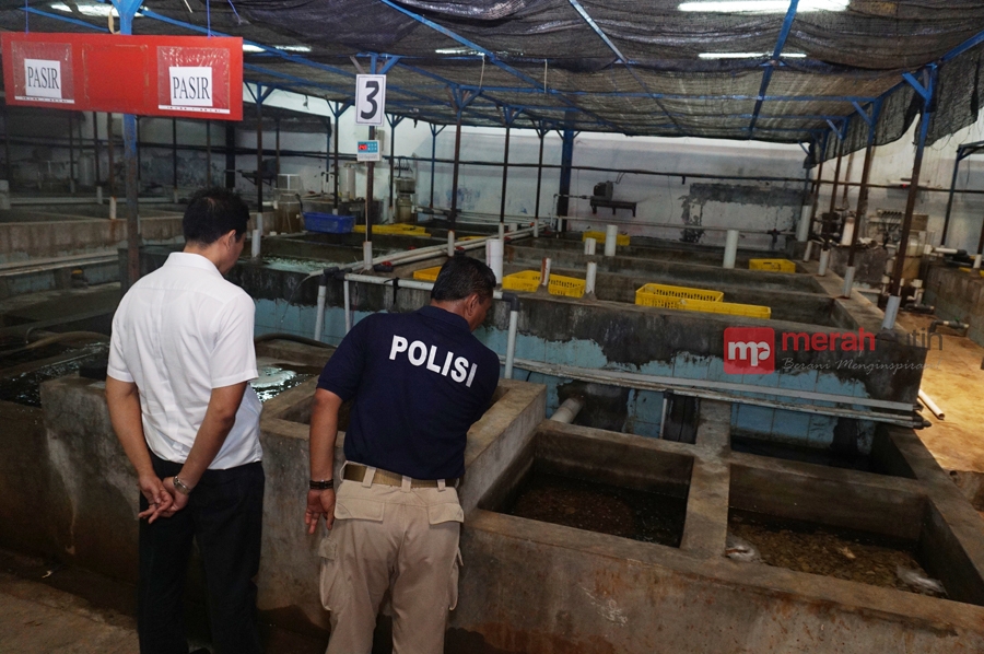Polres Sukabumi Perketat Pengawasan Benih Lobster
