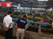 Polres Sukabumi Perketat Pengawasan Benih Lobster