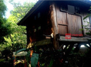 Sensasi Bersantai di Jineman Rumah Kecil Khas Jawa Timur