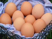 Ini Sebab Harga Telur Naik Jelang Maulid Nabi