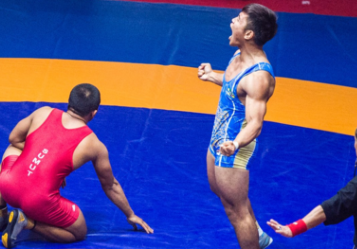 Pertandingan Gulat PON Jabar 2016 Ricuh, Wasit Asal Iran Dianiaya