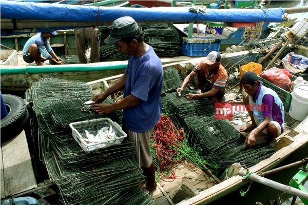 Nelayan di Mauk Beralih dari Potasium Sianida ke Pola Tangkap Rajungan
