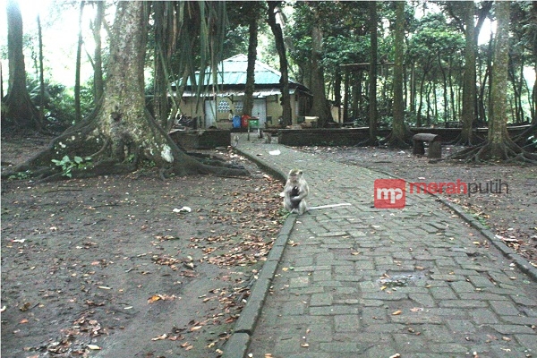 Banyak Situs Cagar Budaya di Tangerang Dikuasai Pengembang