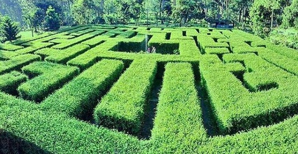 Liburan Seru di Labirin Coban Rondo Malang