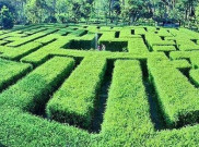 Liburan Seru di Labirin Coban Rondo Malang