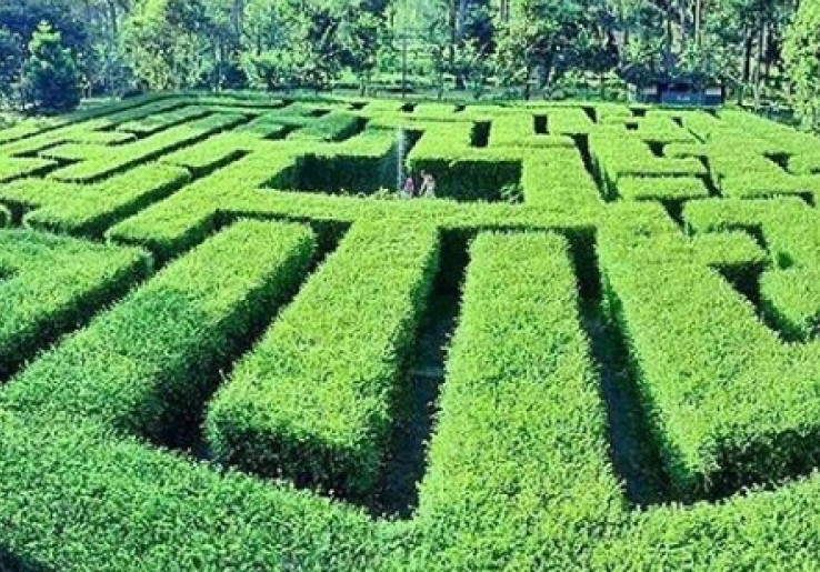 Liburan Seru di Labirin Coban Rondo Malang