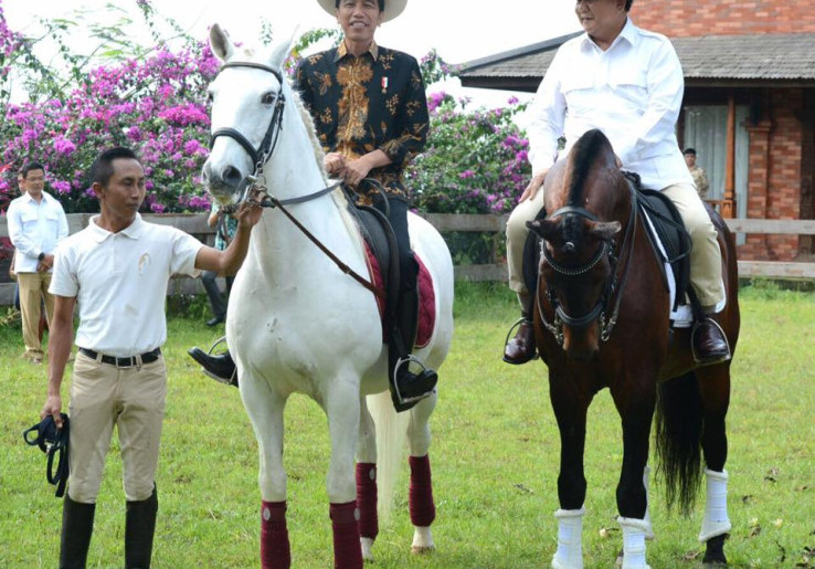 Ikatan Antara Kuda dan Penunggang Sangat Penting