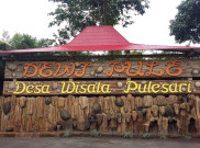 Lonjakan Kunjungan Wisatawan ke Desa Pulesari 