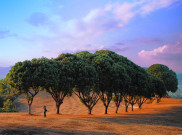 Ngamplang, Swiss Van Java dari Garut