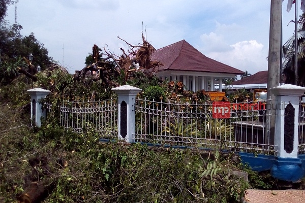 Tumbangnya Ki Hujan, Saksi Bisu Sejarah Banten