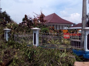 Tumbangnya Ki Hujan, Saksi Bisu Sejarah Banten