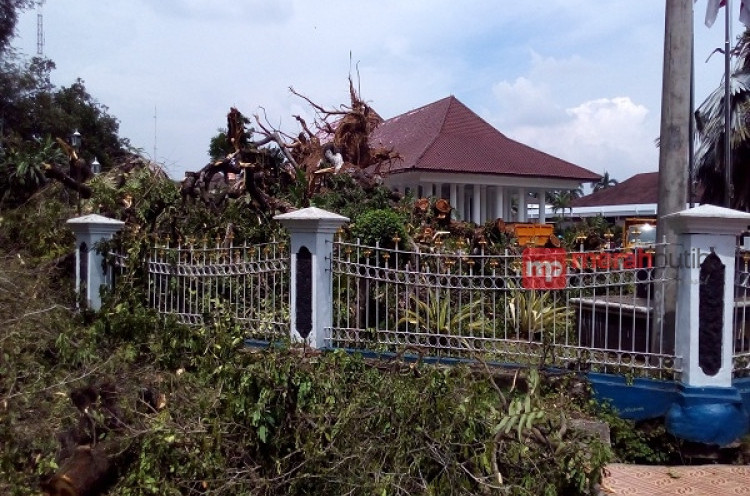 Tumbangnya Ki Hujan, Saksi Bisu Sejarah Banten
