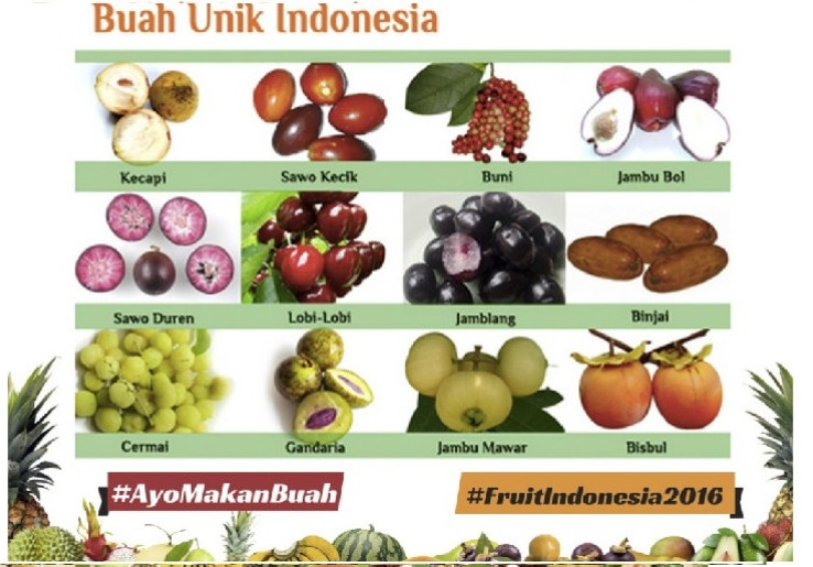 Ingin Makan Buah Gratis? Datanglah ke Acara Fruit Indonesia 2016 di Senayan