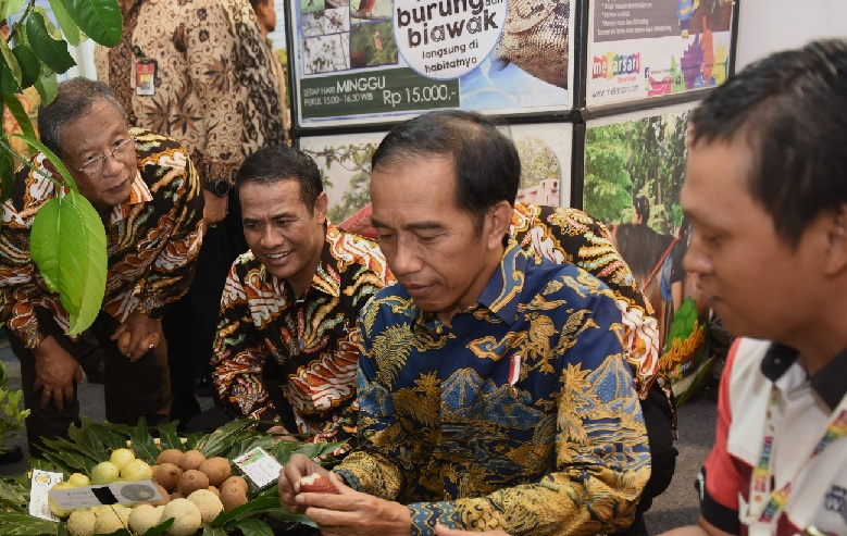 Presiden Jokowi: Bukan Zamannya Lagi Berpikir Jual Buah Dari Kampung ke Kampung