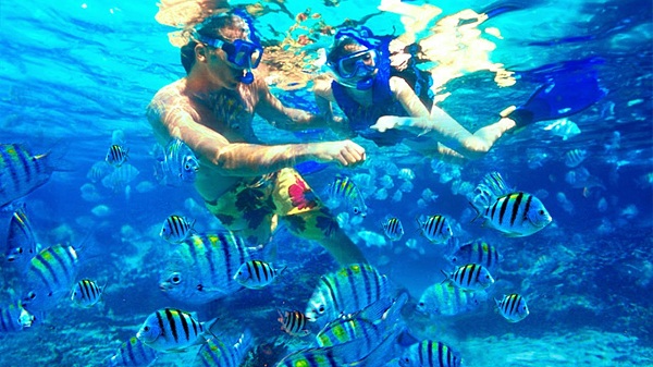 Asyiknya Snorkeling di Perairan Pulau Lengkuas