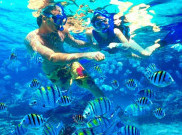Asyiknya Snorkeling di Perairan Pulau Lengkuas