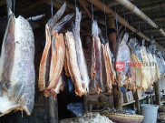 Nasib Pembuat Ikan Asin di Keronjo Tangerang