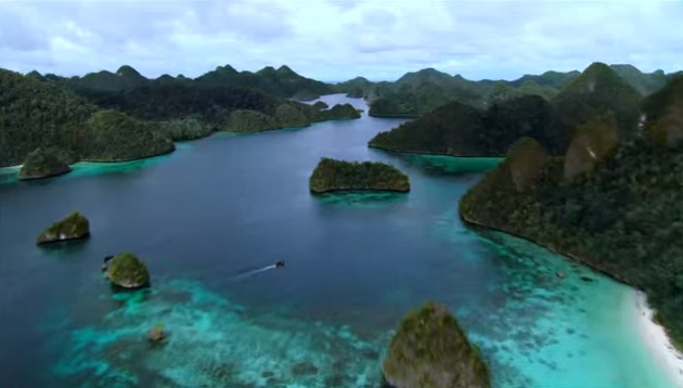 Menengok Tempat Menyelam Tercantik di Dunia, Raja Ampat