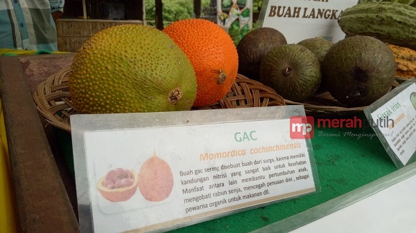 Taman Buah Mekarsari, Pusat Pelestarian Buah-buahan Tropika Terbesar Dunia