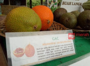 Taman Buah Mekarsari, Pusat Pelestarian Buah-buahan Tropika Terbesar Dunia