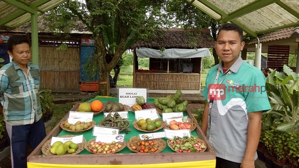 Tingkat Konsumsi Buah Masyarakat Indonesia Rendah