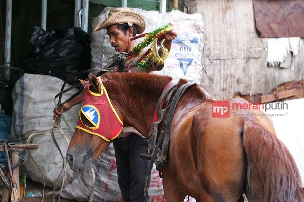 Pemprov DKI Rencanakan Transportasi Delman Ala New York di Monas