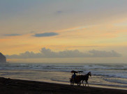 Libur Akhir Tahun, Pekan Depan Pantai Parangtritis Mulai Ramai
