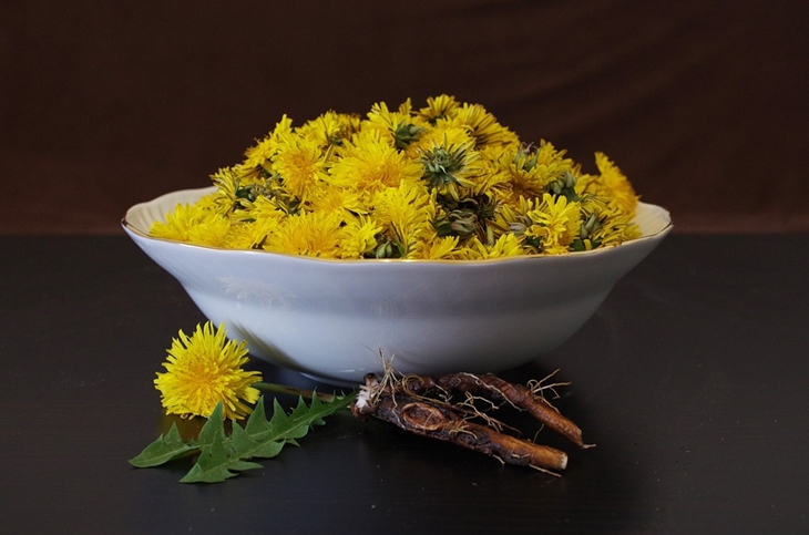 Teh dandelion kaya vitamin K. (Foto: Pixabay/Ajale)
