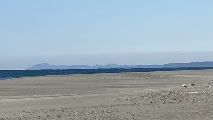 Bola Misterius Terdampar di Pantai Jepang