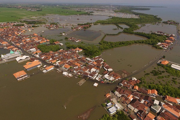 Banjir Rob Genangi Sejumlah Wilayah Pesisir di Semarang