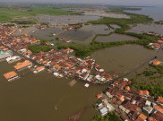 Banjir Rob Genangi Sejumlah Wilayah Pesisir di Semarang