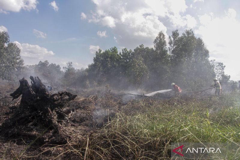 Titik Api Kebakaran Hutan dan Lahan Melonjak, Perusahaan Tidak Mitigasi Karhutla Bakal Ditindak