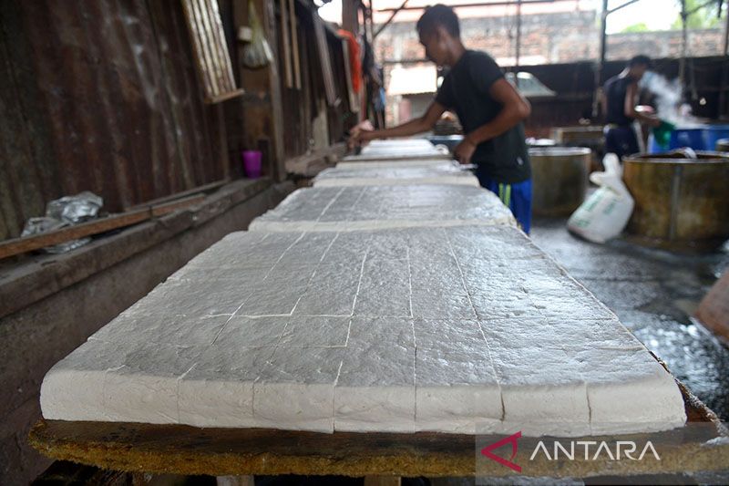 Politikus Golkar Berharap Perajin Tahu dan Tempe Urungkan Mogok Produksi