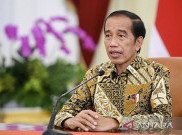 Kremlin Ungkap Pembicaraan Vladimir Putin dengan Jokowi