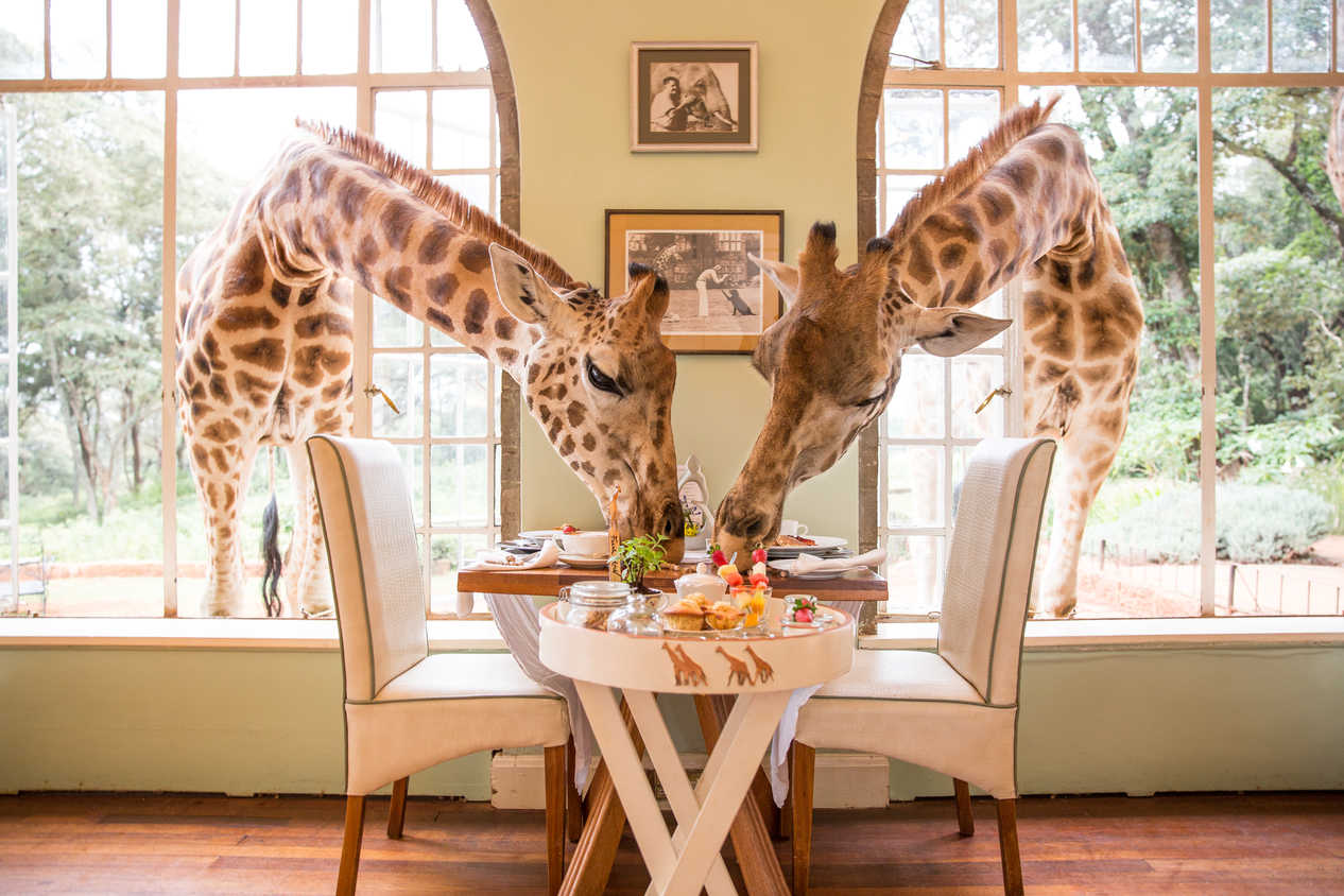 Hotel Giraffe Manor, Kenya (Foto: Thesafaricollection.com)