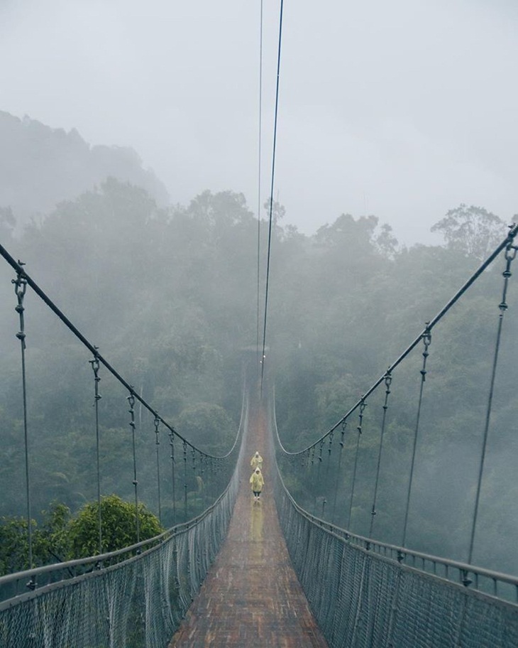 Jembatan Gantung Situ Gunung. (Foto: instagram.com/situgunungsuspensionbridge)