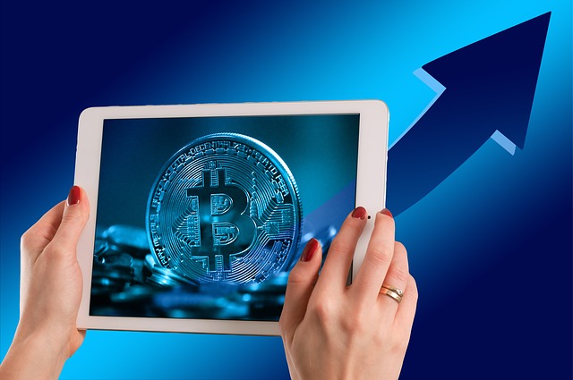Tokocrypto merupakan pedagang aset kripto Indonesia (Foto: Pixabay/geralt)