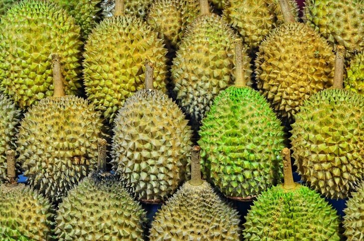 Mitos Soal Durian dari Manfaat Sampai Cara Memilihnya