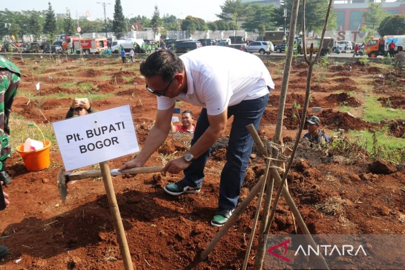 Pemkab Bogor Bangun Hutan Kota Di Kawasan Stadion Pakansari